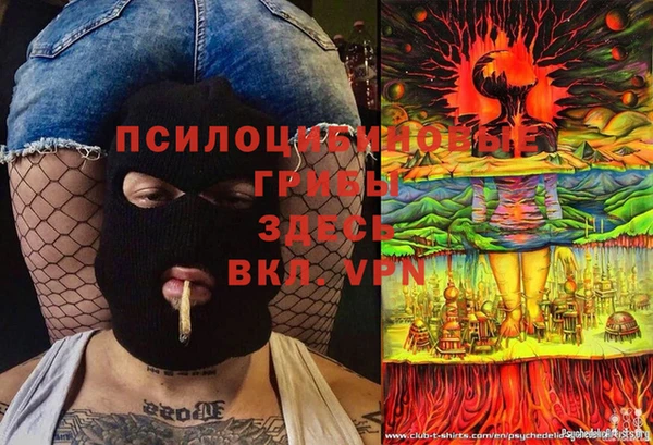 прущая мука Алексин