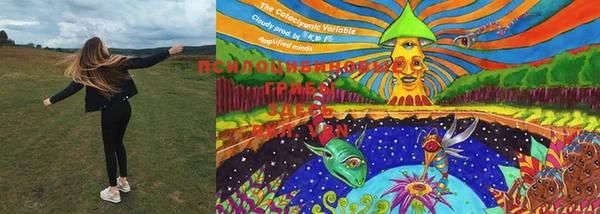 PSILOCYBIN Алзамай