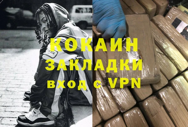 PSILOCYBIN Алзамай